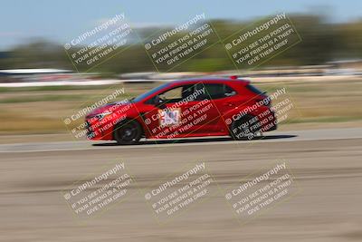 media/Oct-04-2025-OnGrid (Sat) [[44bd565ffa]]/Pink Group/Grapevine/